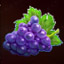Respin Joker 81 Generous Grapes