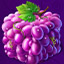 Fluxberry Purple berry 