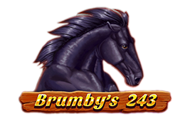 Brumby’s 243