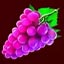 Mega Lucky 576 Grapes