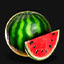 Regal Crown 25 Watermelon