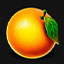 Regal Fruits 100 Orange