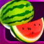 40 Chilli Fruits Watermelon